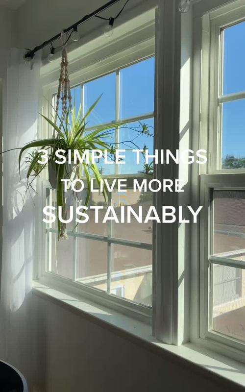 image How to live a more sustainable lifestyle