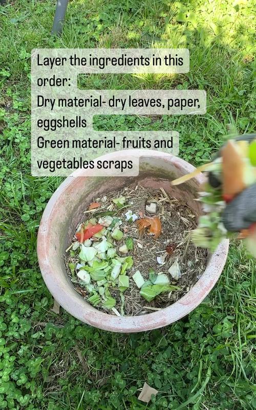 image How to recycle and compost