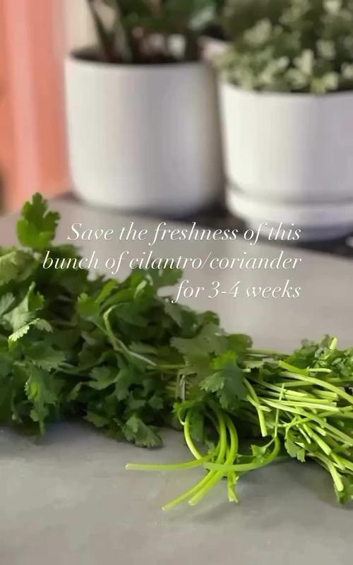 image Cooking with Fresh Herbs: Tips and Recipes